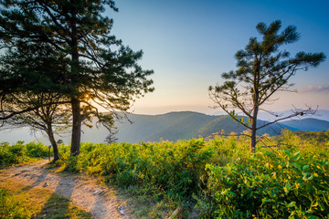 Trail and view of the Blue Ridge Mountains at sunset in Shenando