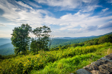 Obraz premium Trees and view of the Blue Ridge Mountains in Shenandoah Nationa