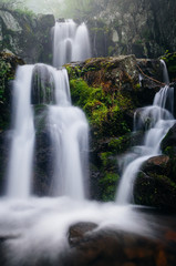 Fototapeta premium Upper Doyle's River Falls on a foggy spring day in Shenandoah Na