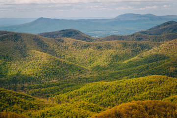 View of spring color in the Blue Ridge Mountains, in Shenandoah