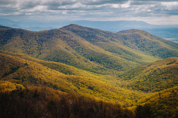 View of spring color in the Blue Ridge Mountains from Blackrock