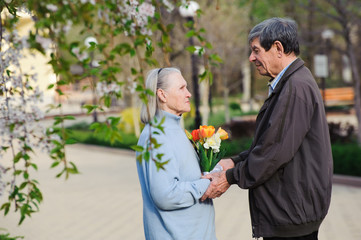 Fototapeta premium beautiful happy old people walking in the spring park