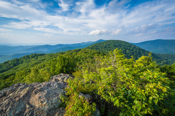 Obraz premium View of the Blue Ridge Mountains from Bearfence Mountain, in She