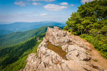 Fototapeta premium View of the Blue Ridge Mountains from Little Stony Man Cliffs, a