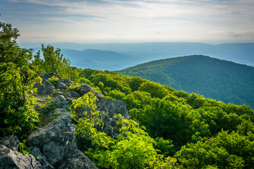 View of the Blue Ridge Mountains from Hawksbill Summit, in Shena