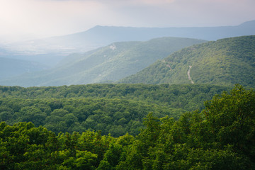 Obraz premium View of the Blue Ridge Mountains from Loft Mountain in Shenandoa