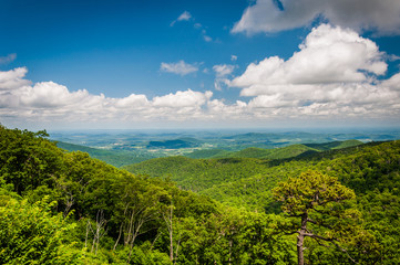 Obraz premium View of the Blue Ridge Mountains from Skyline Drive, in Shenando
