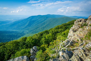 Fototapeta na wymiar View of the Shenandoah Valley and Blue Ridge from Hawksbill Summ