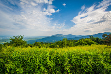 Fototapeta na wymiar View of the Shenandoah Valley and Blue Ridge from Skyline Drive,