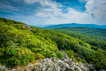 View of the Shenandoah Valley and Blue Ridge from Stony Man Moun