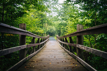 Fototapeta na wymiar Walking bridge on the Limberlost Trail in Shenandoah National Pa