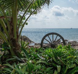 Coastal in a tropical