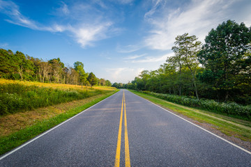 Fototapeta premium Skyline Drive, in Shenandoah National Park, Virginia.