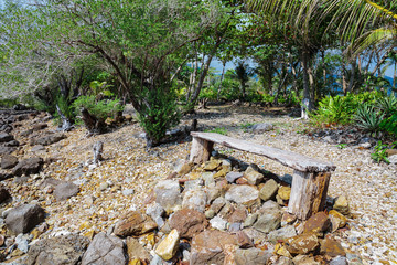 Old wooden bench in a tropical garden