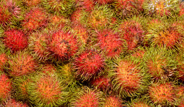 Fresh Rambutan fruit at market in Thailand