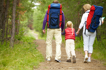 Rear view of family walking in the forest