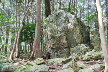 Tenpaku Iwakura Remains