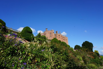 Flowers in gardens of Powis castle in Wales