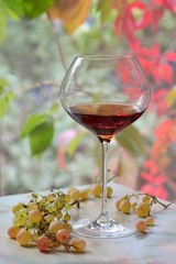 glass of wine and grapes by the window on a cloudy day. Colorful autumn leaves outside the window
