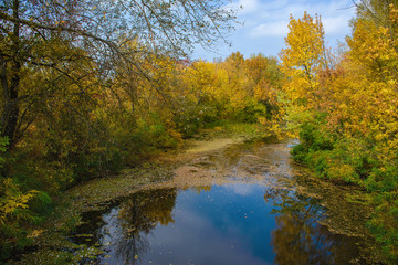 Fototapeta na wymiar autumn, river, lake, trees, leaves, october, nature, landscape