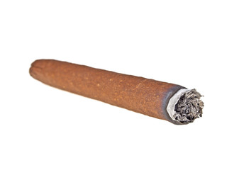 Brown cigar burned on white background