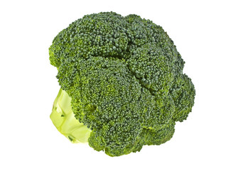 Fresh broccoli isolated on white background