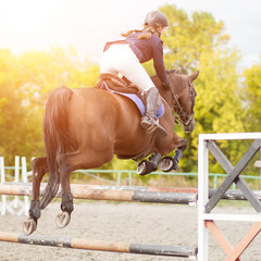 Equestrian sport image. Show jumping competition