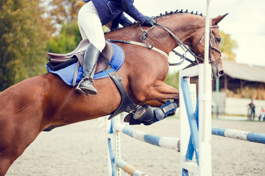 Equestrian sport image. Show jumping competition
