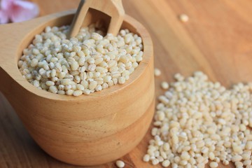 Barley seeds