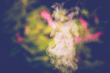 Smoke in the Garden Retro