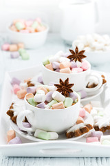 Fototapeta na wymiar cocoa with colorful marshmallows and spices in white cups