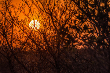 Sunset at the Kruger 02