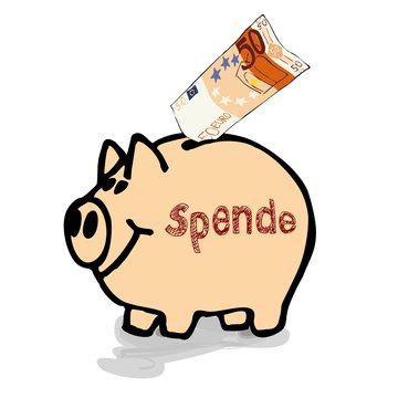 Spendendose Geldschwein Spardose Sparschwein Sparb&uuml;chse mit 50-Euro-Schein