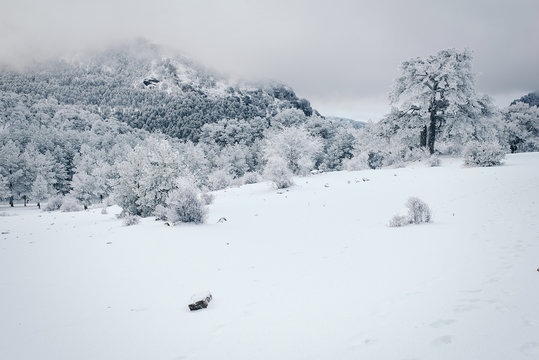 Fototapeta Amazing winter landscape