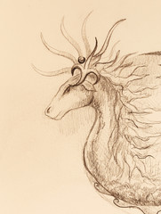 Fototapeta premium drawing of ornamental animal on old paper background.