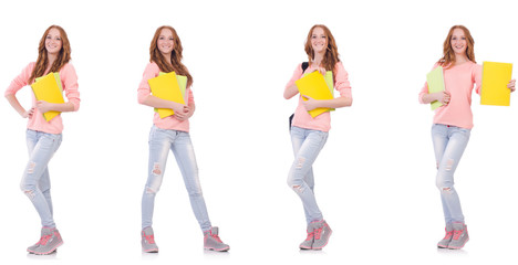 Obraz premium Young student with notebooks isolated on white