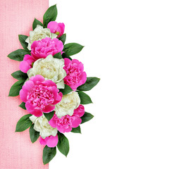 Background with ink and white peonies flowers