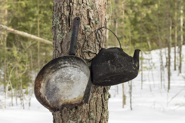 camping pan and a kettle hanging on the tree