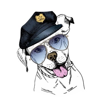 Vector close up portrait of police dog. English pitbull wearing the peak cap and sunglasses.