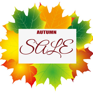 seasonal autumn sales background with colored leafs