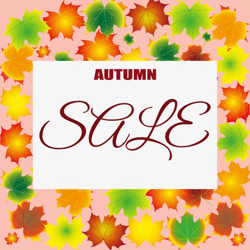 seasonal autumn sales background with colored leafs