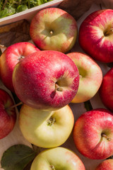 Frische Äpfel in einer Holzkiste