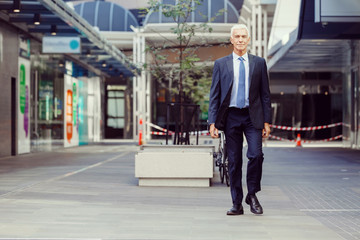 Obraz premium Portrait of confident businessman outdoors