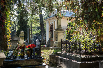 Cmentarz. Święto zmarłych