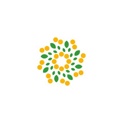 Isolated abstract colorful flower on the white background logo. Dotted floral petals logotype. Natural element sign. Spiral spring symbol. Vector illustration.