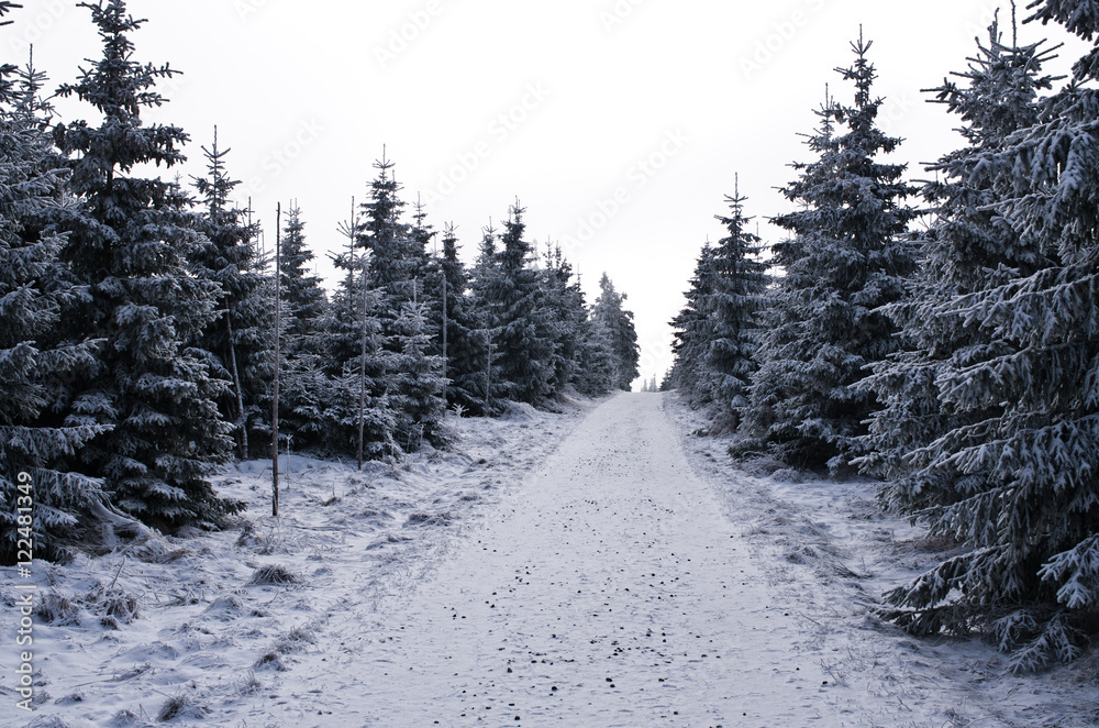 Sticker Winter in Karkonosze Mountains