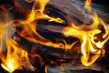 Fire. Flames of burning firewood in the grill