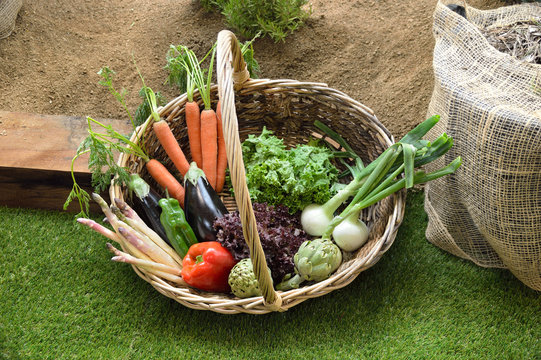wicker basket with vegetables