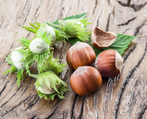 Young hazelnuts and ripe brown hazelnuts on the wooden table.