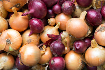fresh and ripe onions